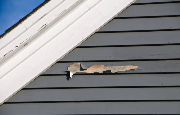 Best Attic Cleanout  in Belcourt, ND